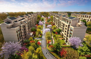 上海首创禧悦·晴朗 全景解析配套实景、样板间与户型设计